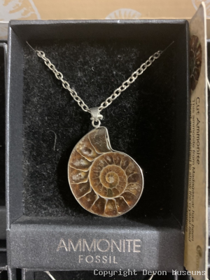 Polished ammonite necklace product photo